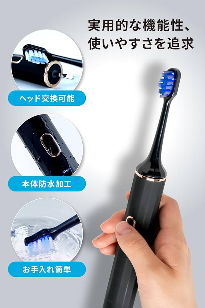 ハリウッド式電動歯ブラシ LED付き Doltz パナソニック 音波振動ハブラシ 電動歯ブラシ ドルツ 充電